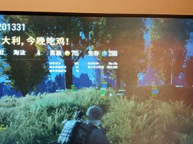 绝地求生辅助-月光族辅助