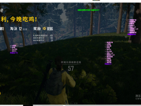绝地求生冰点