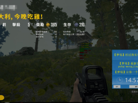 绝地求生梦境辅助