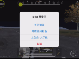 和平精英黑曼巴辅助