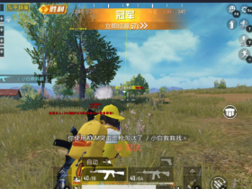 和平精英内部辅助