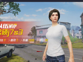 和平精英海豚辅助