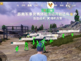 和平精英Bird辅助