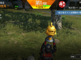 和平精英麻辣烫辅助