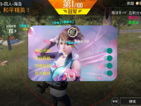 和平精英不良人辅助