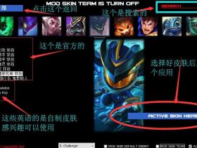 LOL辅助老外全服通用换肤助手,V9.19.2持续更新置顶