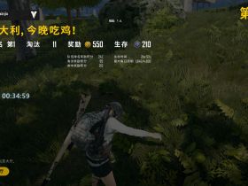【绝地求生卡盟】-OB外国高端辅助