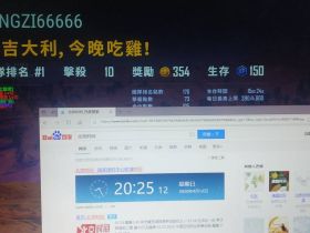 绝地求生卡盟-龙猫辅助