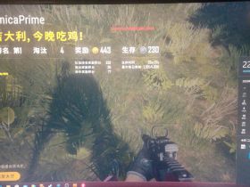 绝地求生神仙-天猫神仙辅助