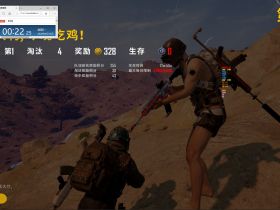 和平精英辅助