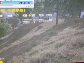 绝地求生直播-香奈儿辅助