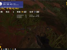 绝地求生黑号*AUG辅助