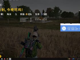 绝地求生刺激战场亚服-大仙辅助