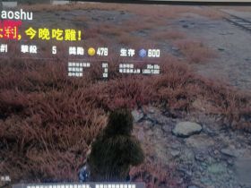 绝地求生免费版：华佗辅助