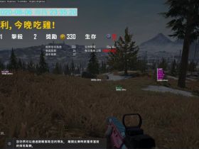 绝地求生正版_ 大稳辅助