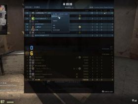 csgo卡盟海王辅助