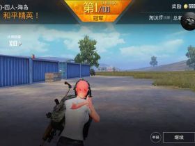和平精英辅助卡盟-HH辅助