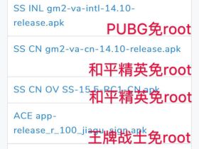 王者荣耀辅助软件_ＰＥＡK