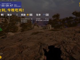 绝地求生辅助_薇恩