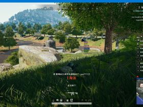 PUBG辅助-卡盟辅助-大剑士（原狼族）辅助