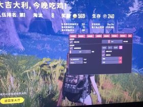 绝地求生辅助-德国小子辅助