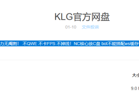 英雄联盟辅助-防封辅助KLG辅助