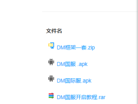 和平精英辅助-DM辅助