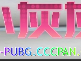 绝地求生辅助-小灰灰辅助