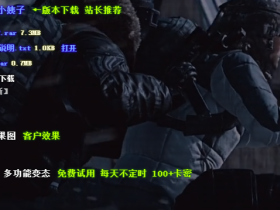 和平精英辅助-小姨子辅助