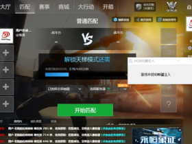 CSGO心悦辅助支持5E与官配！