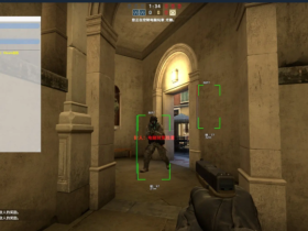 CSGO苦海辅助,稳定奔放！