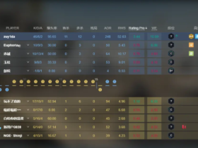 csgoPerter辅助支持5E完美