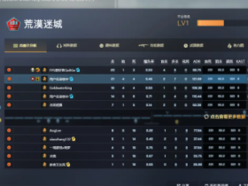 CSGOag辅助正常使用！
