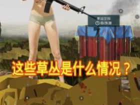 和平精英辅助_玩家遇到漂浮在空中的队友 并一起和队友在空中漂浮