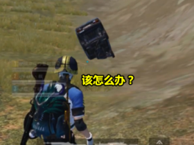 和平精英辅助_过检测