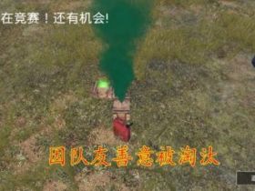 和平精英辅助-女玩家因一项功能未关闭 被队友善意淘汰