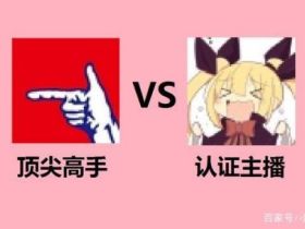 和平精英辅助_小狐仙