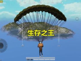 和平精英国服模拟器辅助-月影内部辅助