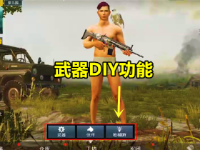 和平精英辅助卡盟/灭霸辅助