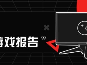 020年度游戏报告 回顾你的独家游戏故事