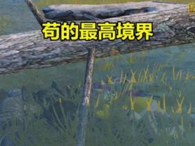 和平精英辅助卡盟_无双