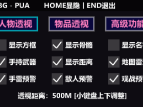 绝地求生辅助-PUA