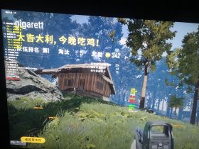绝地求生辅助-辅助-元气之神