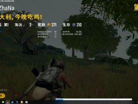 绝地求生辅助-小呆呆辅助