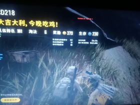 绝地求生辅助-欲仙辅助