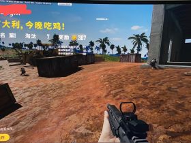 绝地求生体验服*海贼王辅助