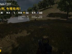 绝地求生国际版-杀破狼辅助