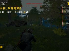 绝地求生辅助-金马辅助