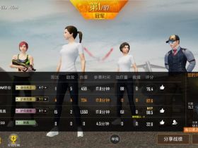 和平精英模拟器辅助-ALG辅助TX国服模拟器