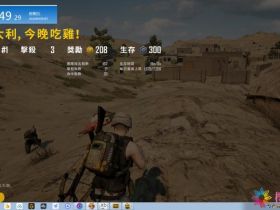 绝地求生电脑版怎么下载-陪陪辅助